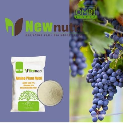 Light Yellow Powder Amino Acid Organic Fertilizer