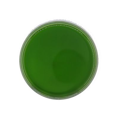 7.5PH Seaweed Extract Powder Fertilzer