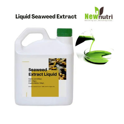 Organic 12% Liquid Seaweed Extract Fertilizer Without Flocculation