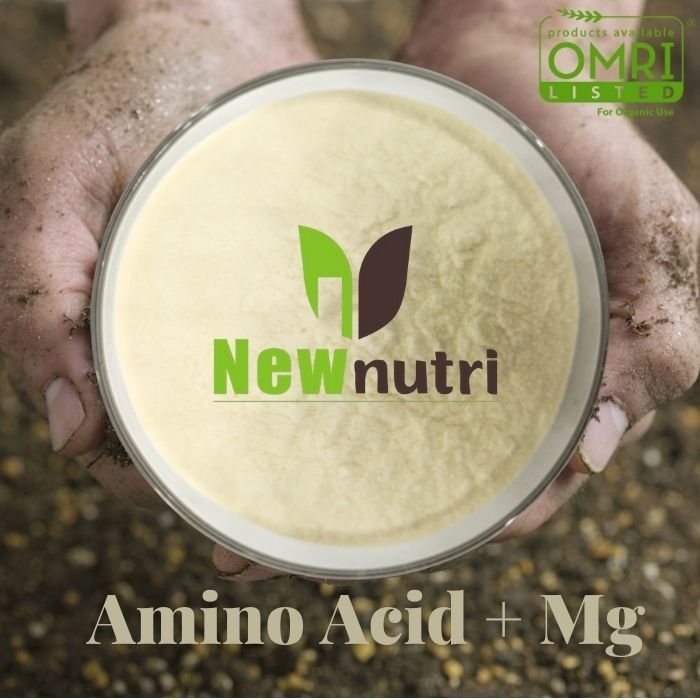 Chelate Mg 28% Amino Acid Organic Hydroponic Nutrients