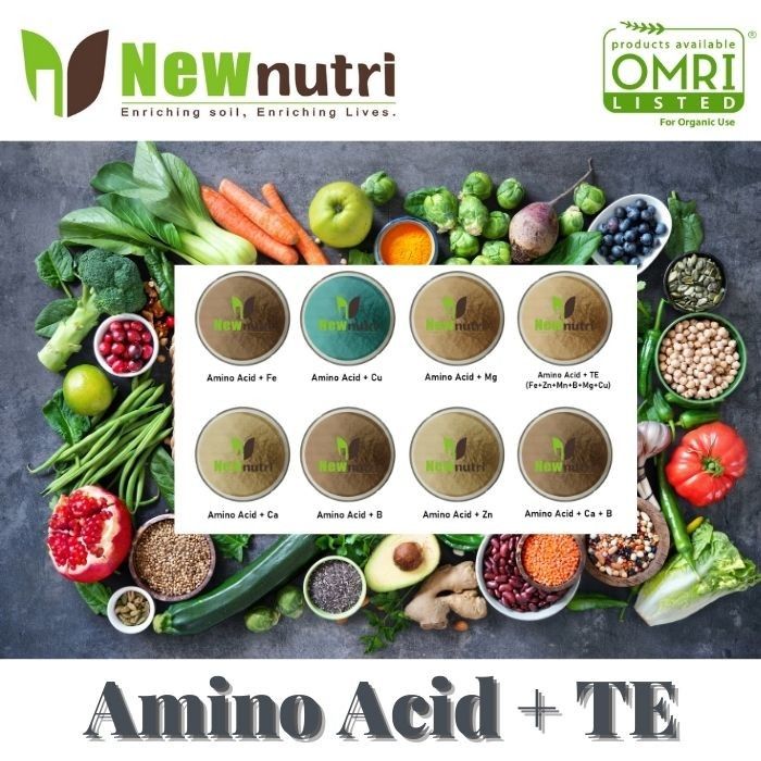 Light Yellow Powder Amino Acid Organic Fertilizer