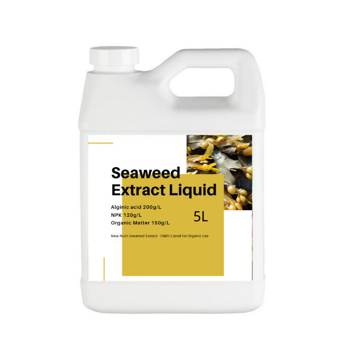 7.5PH Seaweed Extract Powder Fertilzer