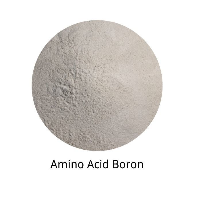 25% Amino Acid 8% Boron Nitrogen Organic Fertilizer